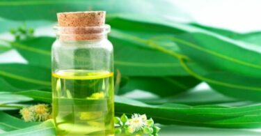 Масло эвкалипта